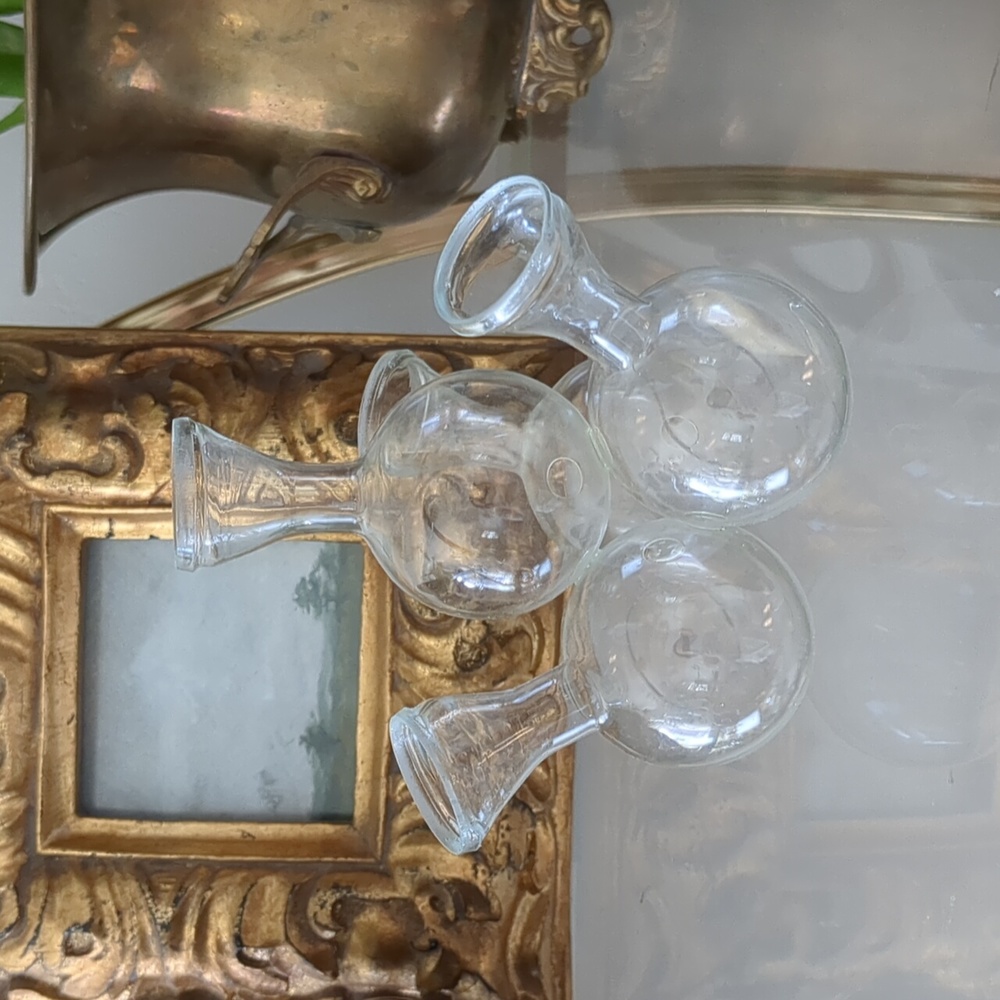 Vintage Glass Propagation Station or Flower Arranger - another single
